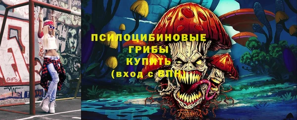 шишки Володарск