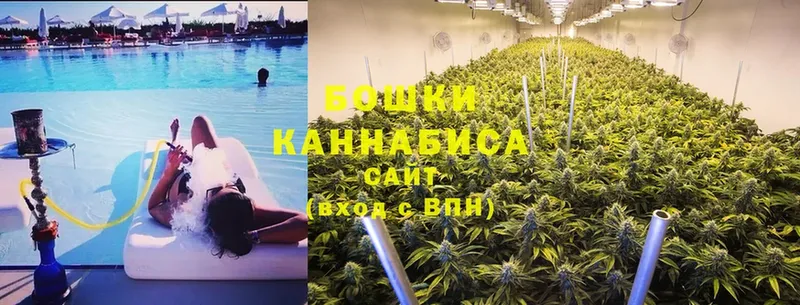 Бошки Шишки OG Kush  Иннополис 